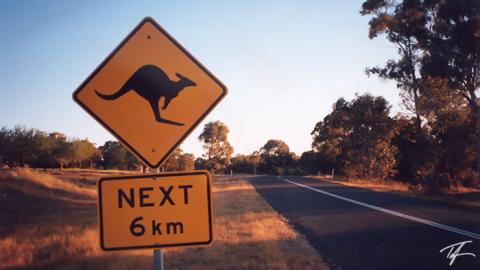A kangaroo crossing sign near Bendigo, Victoria