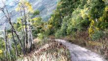 Squaw Peak Trail is a narrow, high clearance road.