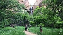 Lower Calf Creek Falls and the lush oasis in the desert